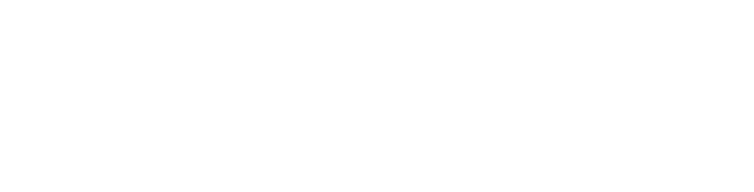 Sanguanini Mario S.N.C.